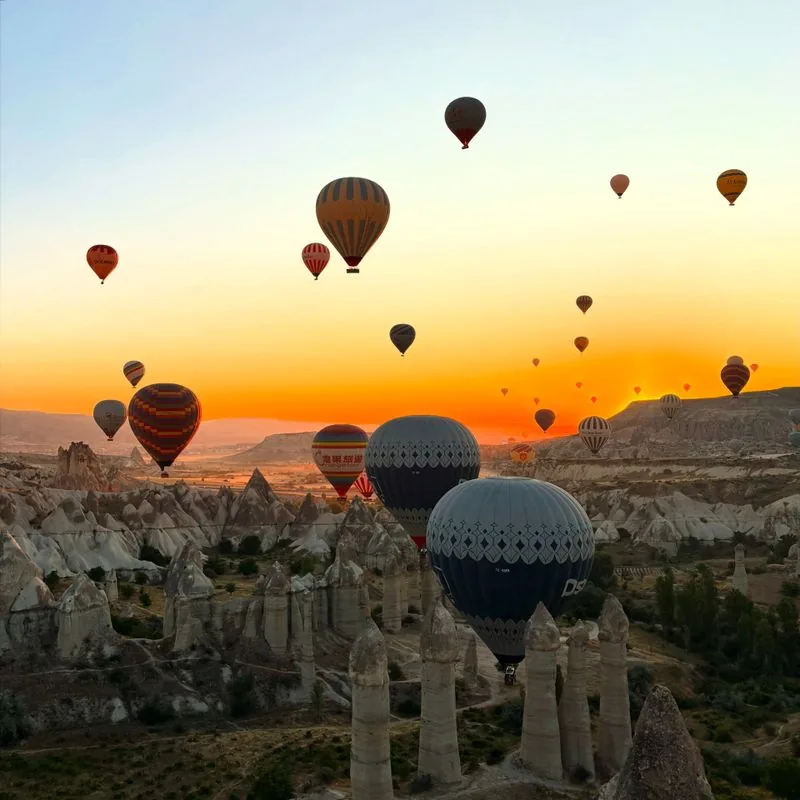 International Tours — Bonita Travel & Tours