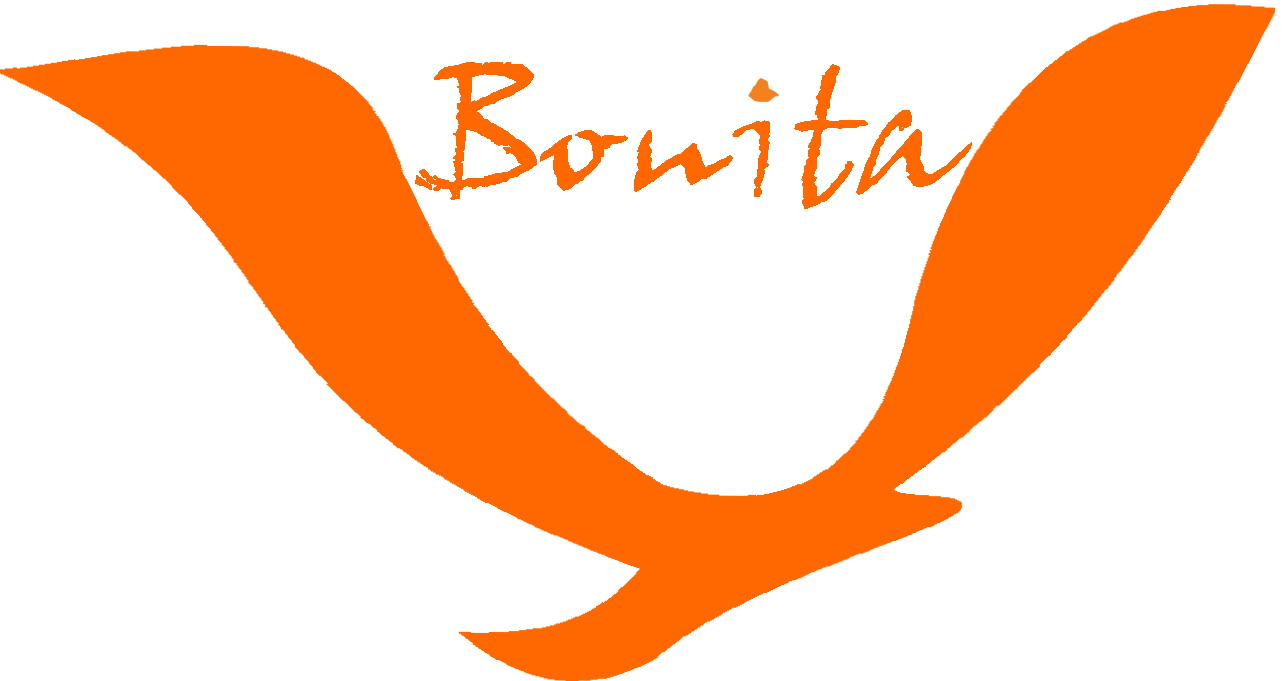 bonita travel and tours travel agency in islamabad